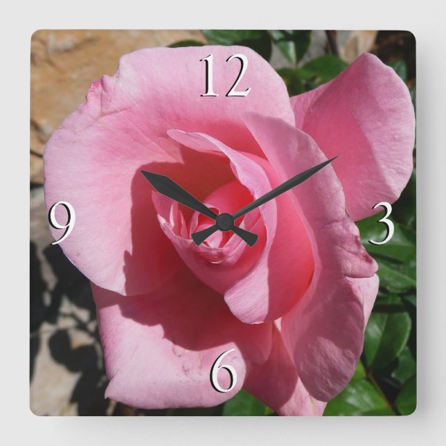 Pink Rose III Garden Floral Square Wall Clock (Front)