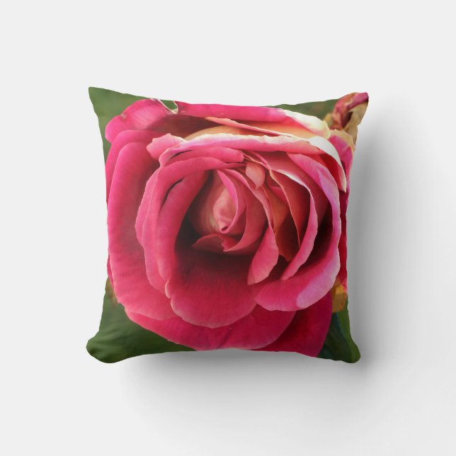 Pink rose in a garden cushion (Front)