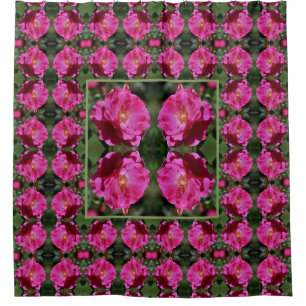 Pink Rose In Full Bloom Abstract Pattern  Shower Curtain