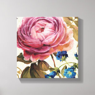 Pink Rose in Full Bloom Canvas Print