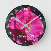 Pink Rose In Full Bloom Close Up Personalised