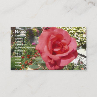 Pink Rose in Grandma's Garden Business Card
