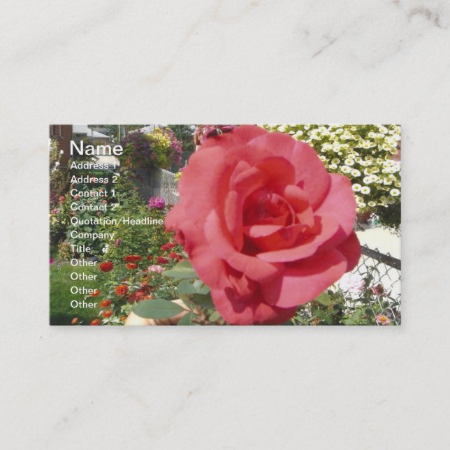 Pink Rose in Grandma's Garden Business Card (Front)