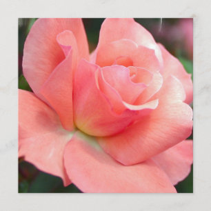 Pink Rose Invitations