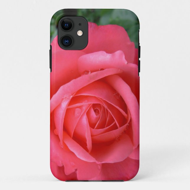 Pink Rose iPhone 5 Case Roses iPhone Cases (Back)