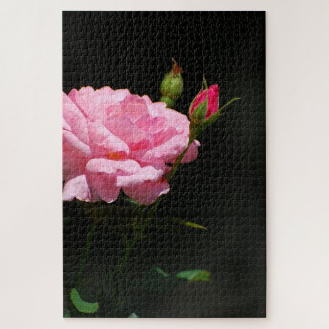 Pink Rose Jigsaw Puzzle (Vertical)