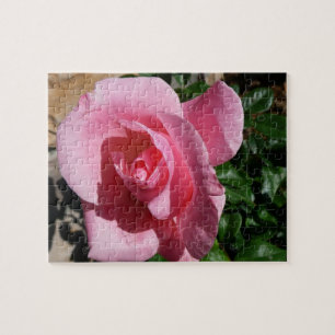 Pink Rose Jigsaw Puzzle