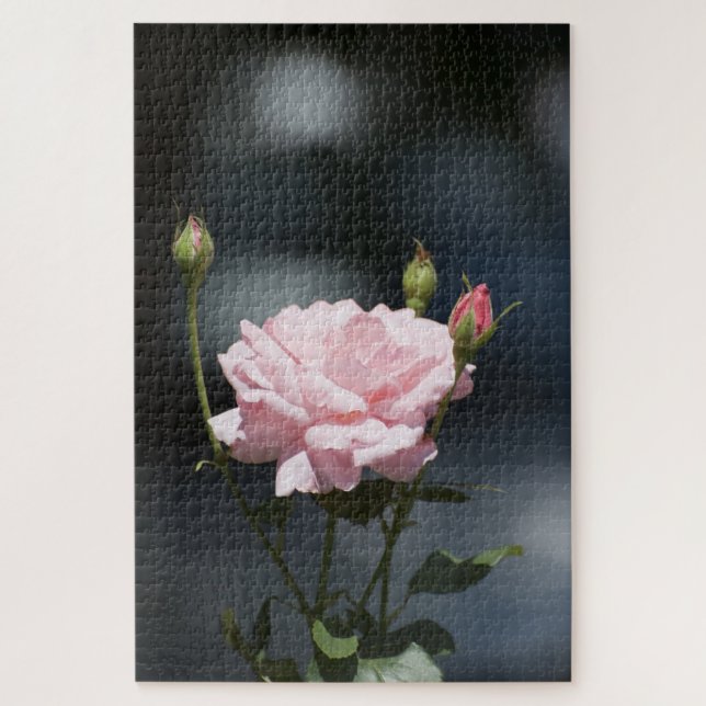 pink rose jigsaw puzzle (Vertical)