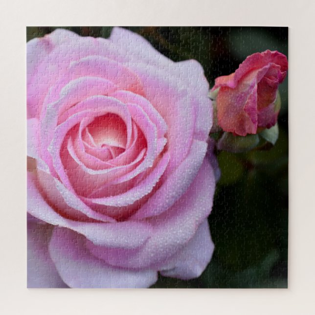 Pink Rose Jigsaw Puzzle (Vertical)