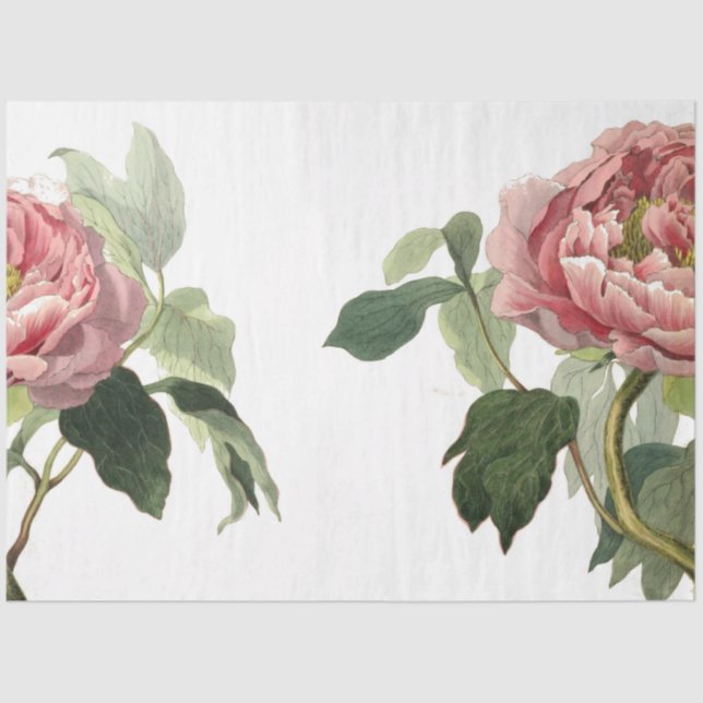 Pink Rose Junk Journal Elements Sheet (Front)