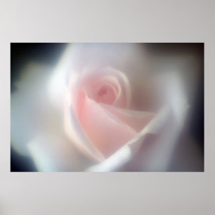 Pink Rose Large Poster/Print Poster