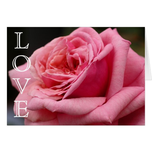 Pink Rose LOVE Card (Front Horizontal)