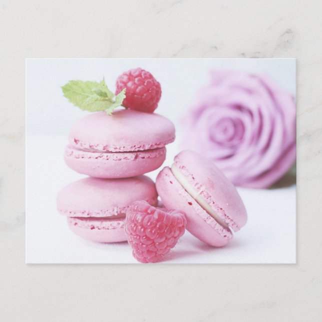 Pink Rose Macarons Postcard (Front)