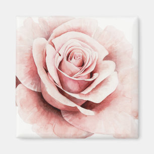 Pink Rose Magnet