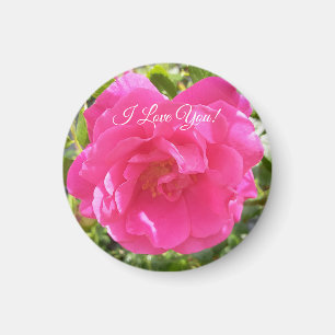 Pink Rose Magnet