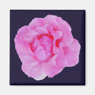 pink rose magnet