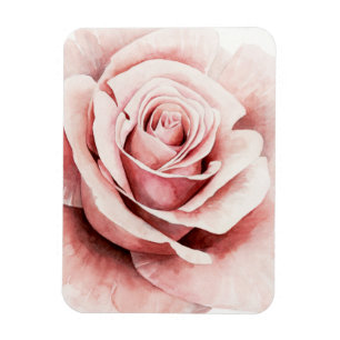 Pink Rose Magnet