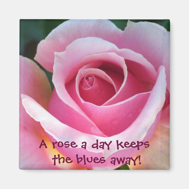 Pink Rose Magnet (Front)
