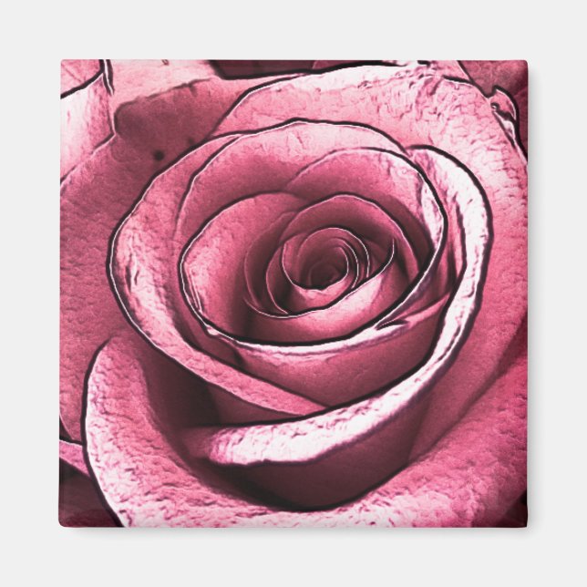 Pink Rose Magnet (Front)