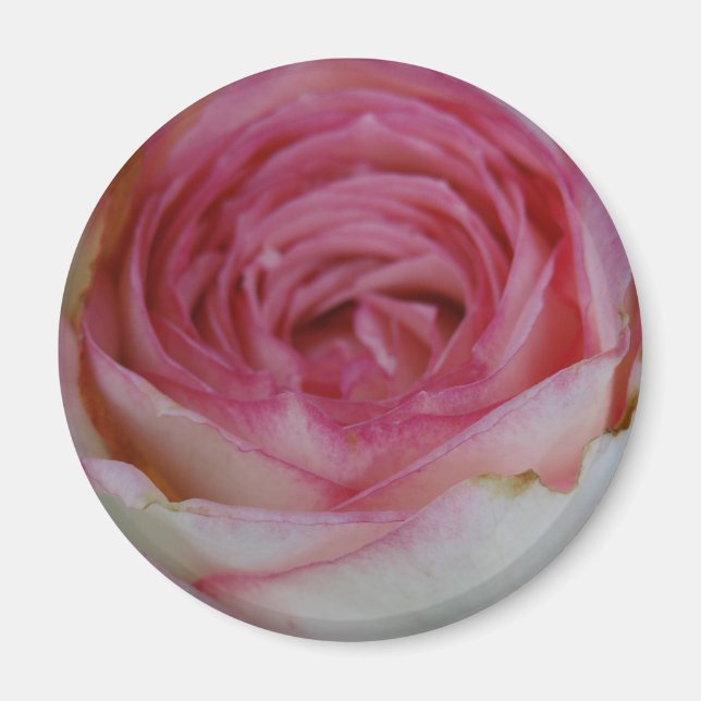 Pink rose magnet (Front)