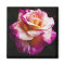 Pink Rose Magnet For Fridge and Boards