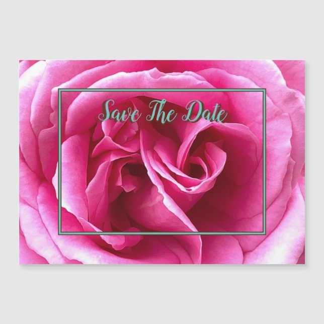 Pink Rose Magnetic Save The Date Invitation (Front)