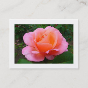 Pink Rose, Mini Photo Business Card