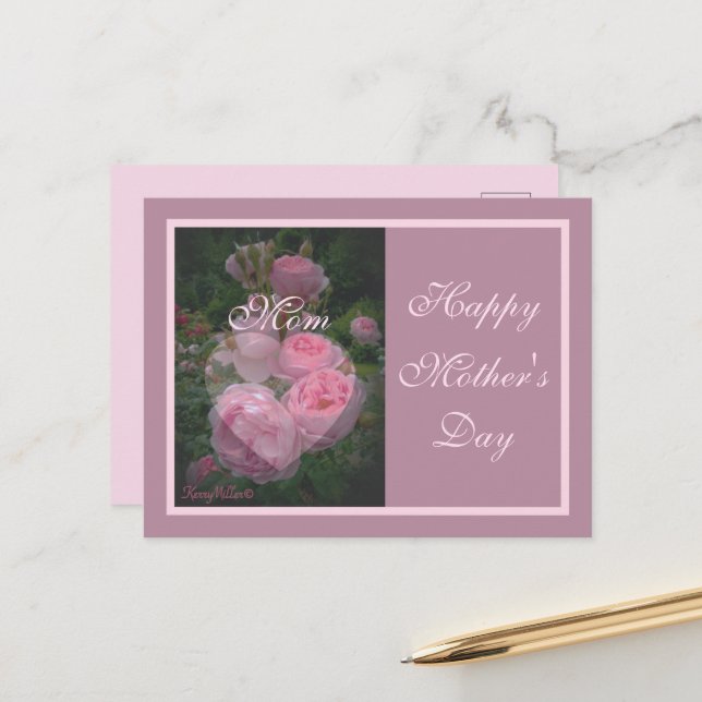 Pink Rose Mother's Day Postcard (Front/Back In Situ)