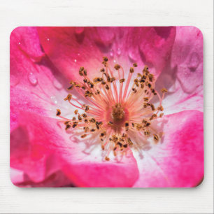 Pink Rose Mouse Pad