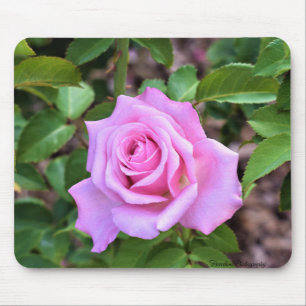Pink Rose Mouse Pad