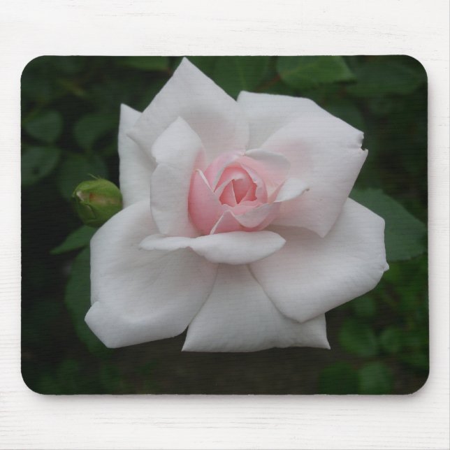 Pink rose mouse pad (Front)