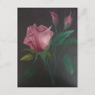 Pink Rose n Buds Postcard