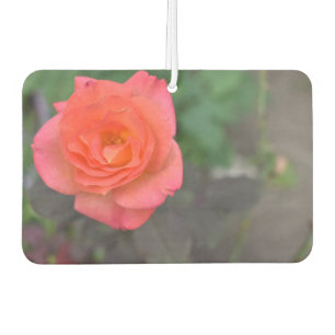 Pink Rose Nature Photography Flower Floral Garden Car Air Freshener