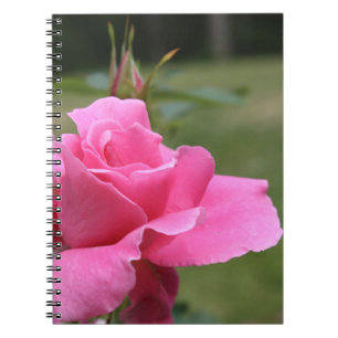 Pink rose notebook