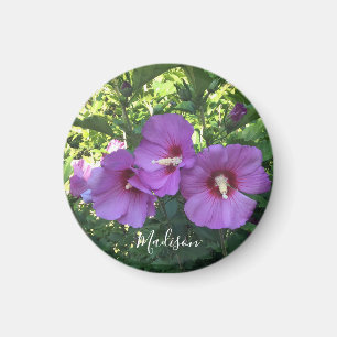 Pink Rose Of Sharon Floral Photography  Magnet