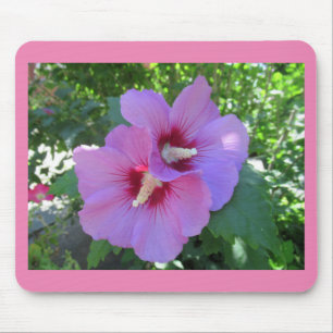 Pink Rose of Sharon Photo Mouse Pad