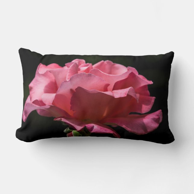 Pink Rose on Black Throw Pillow (Front)