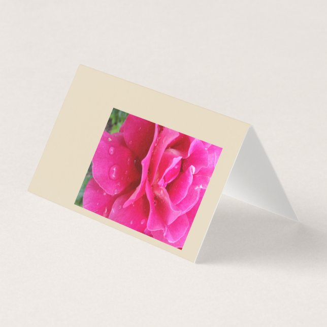 pink rose petals (Front)