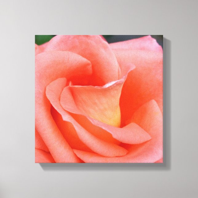 pink rose petals canvas print (Front)