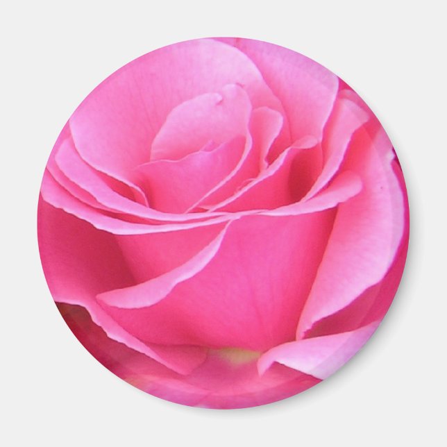Pink Rose Petals customisable magnet (Front)