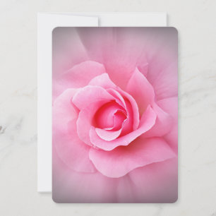 Pink rose petals invitation
