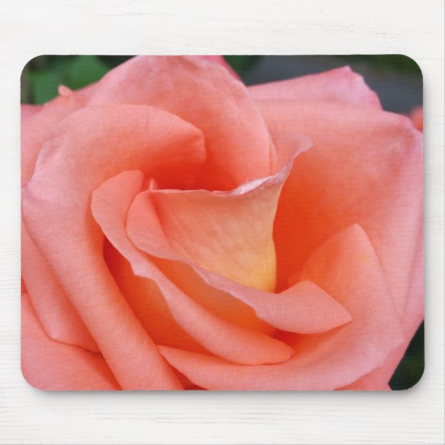 pink rose petals mouse pad (Front)