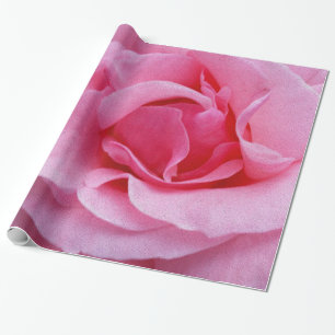 Pink rose petals wrapping paper