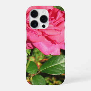 Pink Rose phone cases