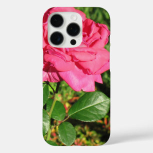 Pink Rose phone cases