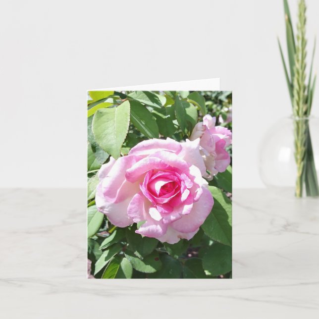 Pink Rose Photo Folded Note Card (Front)