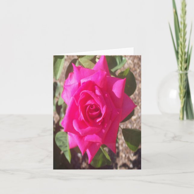 Pink Rose Photo Folded Note Card (Front)