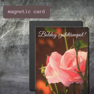 Pink rose photo  - Hungarian birthday