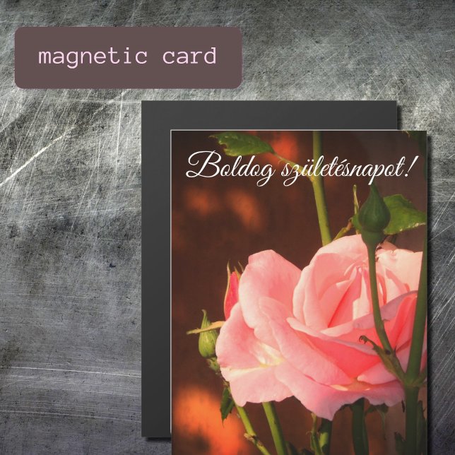 Pink rose photo  - Hungarian birthday  (Creator Uploaded)