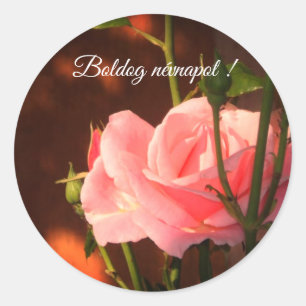 Pink rose photo  - Hungarian name day   Classic Round Sticker